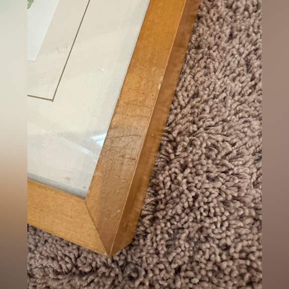 Crate and barrel framed teapot pitcher water color  painting print soicher Marin - Picture 5 of 14